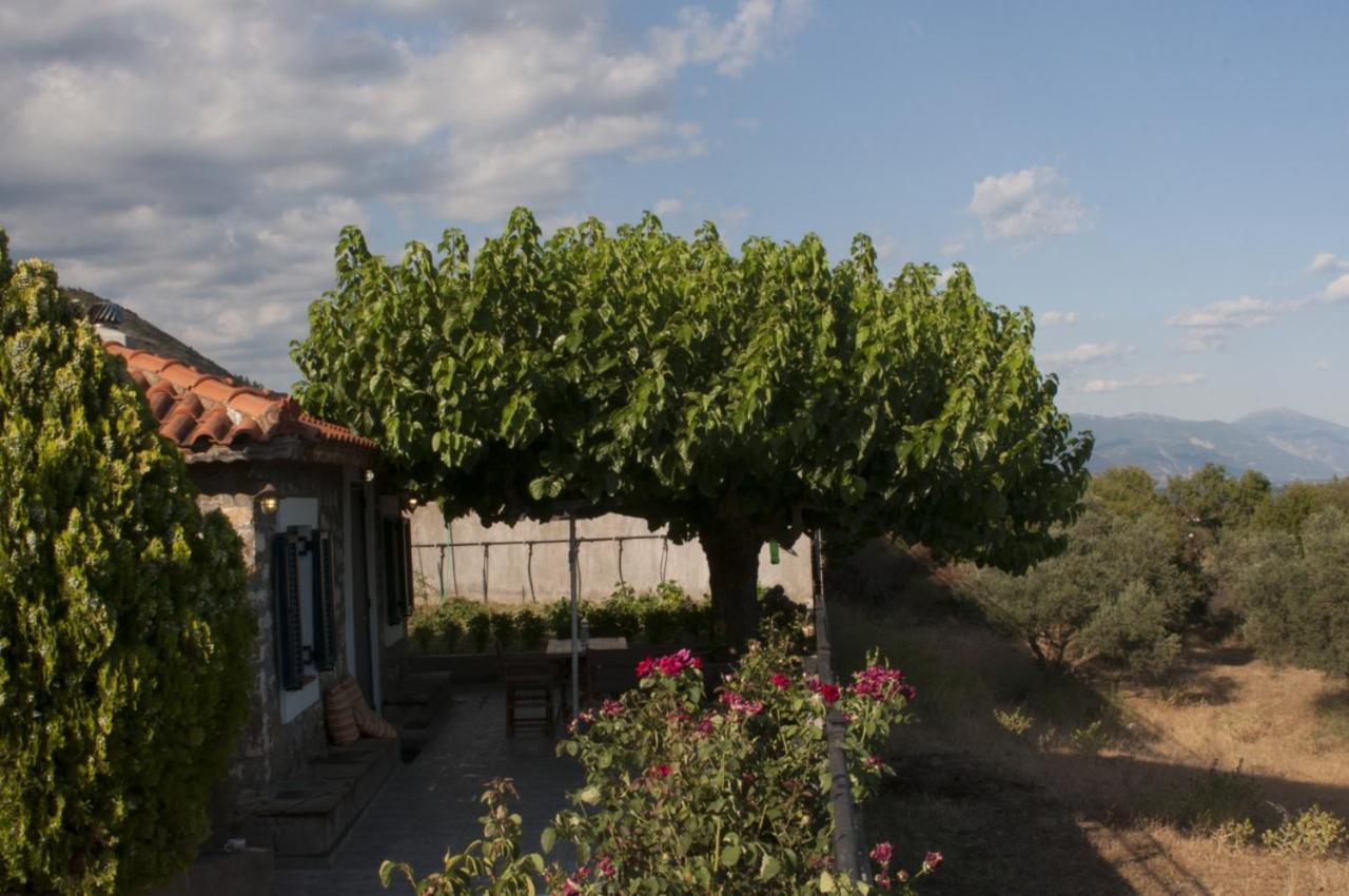 Villa Anna Nafpaktos Dış mekan fotoğraf